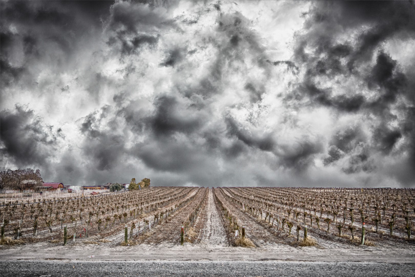 one of my award-winning photos, called The Calm Before the Storm shows a grape vineyard in winter with a roiling nasty set of storm clouds overhead