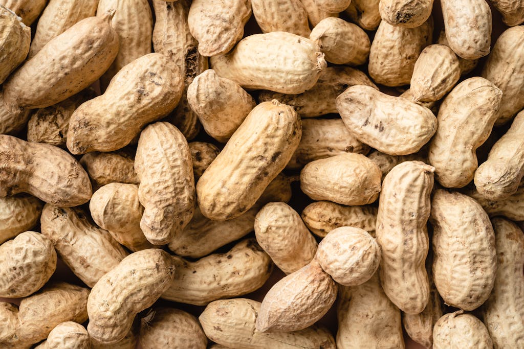 Close-Up Shot of Peanuts, which are the subject of a scary recall